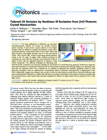 View fulltext